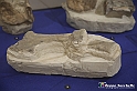 VBS_9171 - Museo Paleontologico - Asti